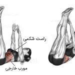 شکم خوابیده لمس انگشت