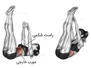 شکم خوابیده لمس انگشت